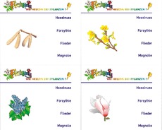 HK Frühling 03.pdf